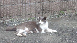 160714_175227027.jpg