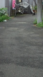170730_120730198.jpg