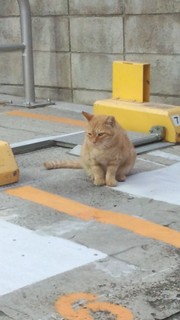 170831_181440614.jpg