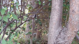 180326_080830759★.jpg