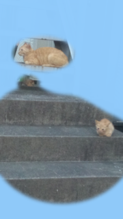 180712_190401.png