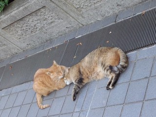 190613_182312.jpg