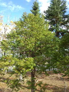 191102_083154.jpg