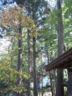 191102_110748.jpg