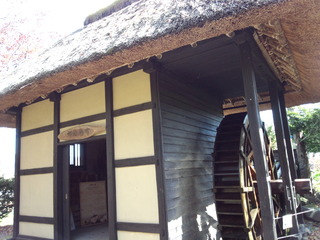 191102_115050.jpg