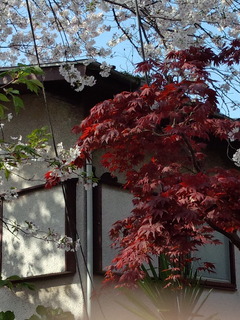 200403_082602.jpg