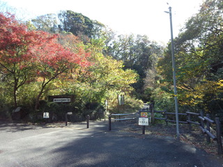 201122_102441.jpg
