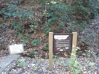 201122_103320.jpg