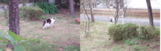 2016-11-5.png