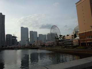 220402_165309.jpg