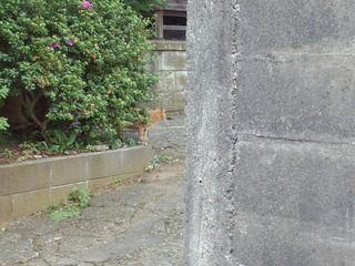220630_062652.jpg