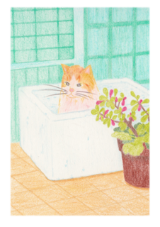 はこのなかの猫.png