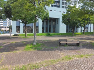 IMG_20240706_084212.jpg