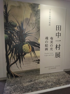 IMG_20241009_122236.jpg