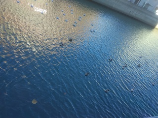 IMG_20241214_093550.jpg