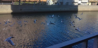 IMG_20241214_093657.jpg