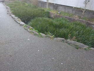 IMG_20241223_073244.jpg