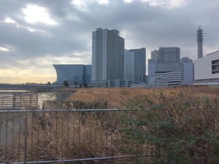 IMG_20250217_085622.jpg
