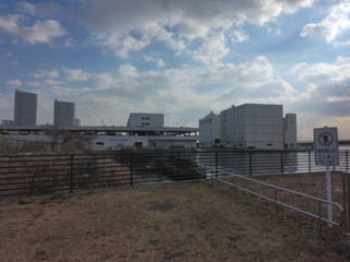 IMG_20250217_085630.jpg