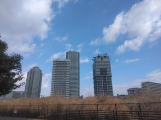 IMG_20250217_085644.jpg