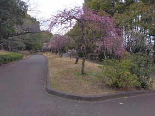 IMG_20250302_084705.jpg