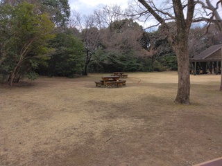 IMG_20250302_092553.jpg