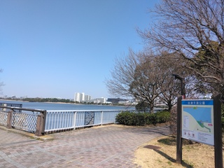 IMG_20250322_110041.jpg