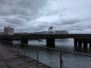 IMG_20250512_095355.jpg