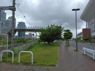 IMG_20250512_101523.jpg