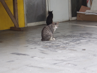 P1010001.JPG