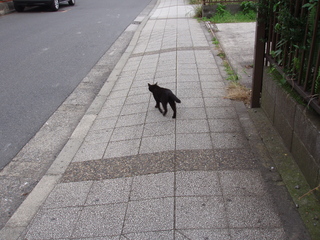 P1010002.JPG
