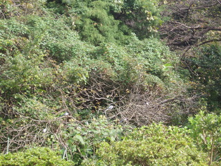 P1010012.JPG