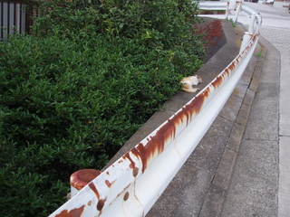 P1010016.JPG