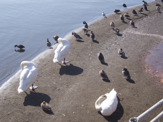 P1010051.JPG