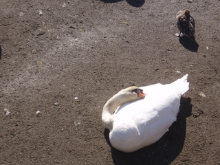 P1010053.JPG